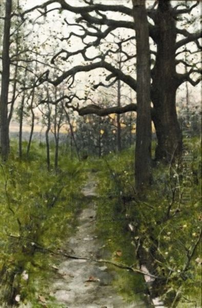 Abendliche Landschaft Mit Weg - view 1