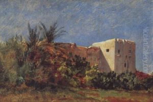 Cactus Pres Des Remparts