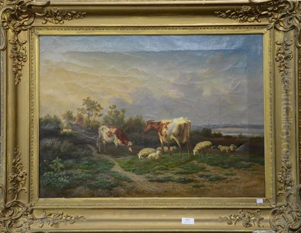 Vaches Et Moutons - view 1