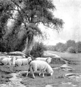 Grazing Sheep, Mid-day by Charles Grant Davidson