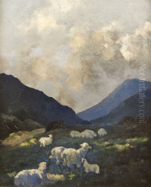 Sheep Grazing - view 1