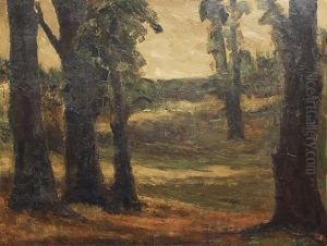 A Forest Clearing by Willy Davidson