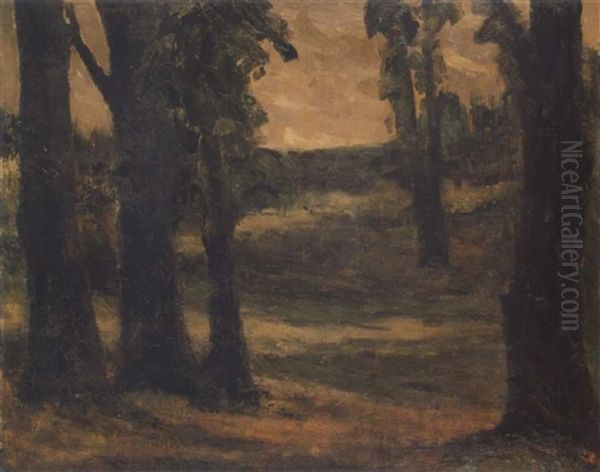 Waldlichtung - view 1