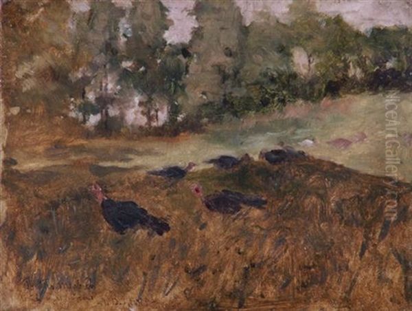 Wild Turkeys In The Grass - view 1