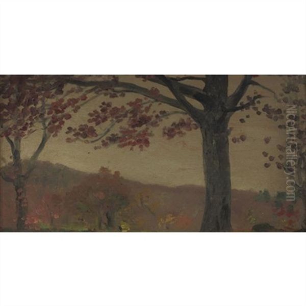 Toward Rockland Lake - view 1