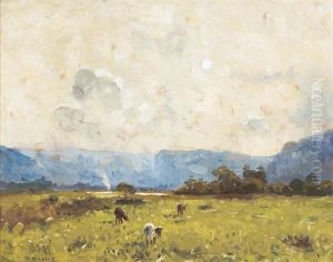 Cows Grazing Cows Grazing