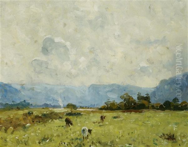 Cattle Grazing - view 1