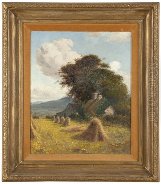 Farmhouse Under Trees - view 1