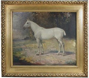 A Grey Hunter, Georgian (study)