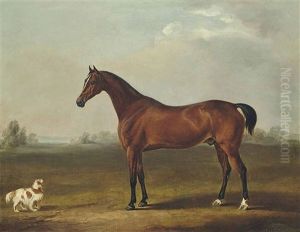 A Bay Hunter And A Spaniel by C.W. Davis