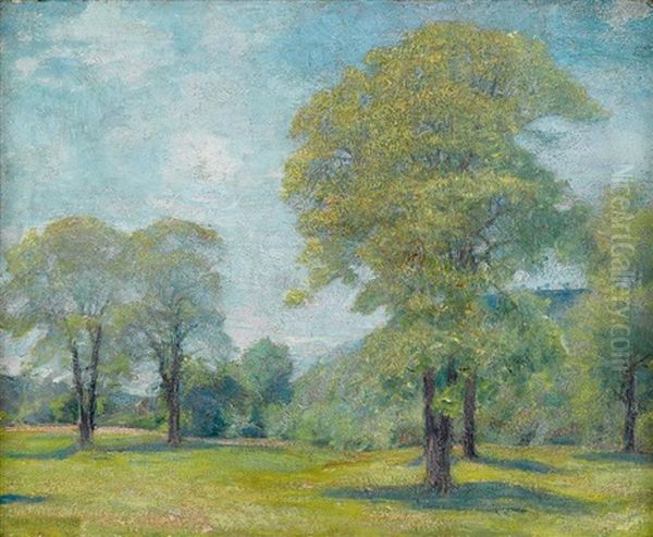 Spring Landscape - view 1