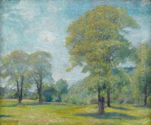 Spring Landscape Spring Landscape