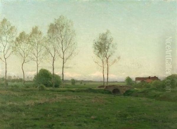 Late Afternoon, Springtime - view 1