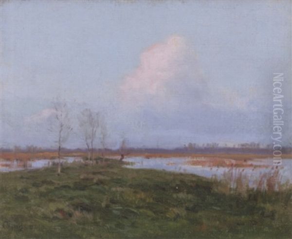 On The Marshes - view 1