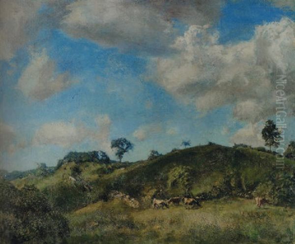 A Clearing - view 1