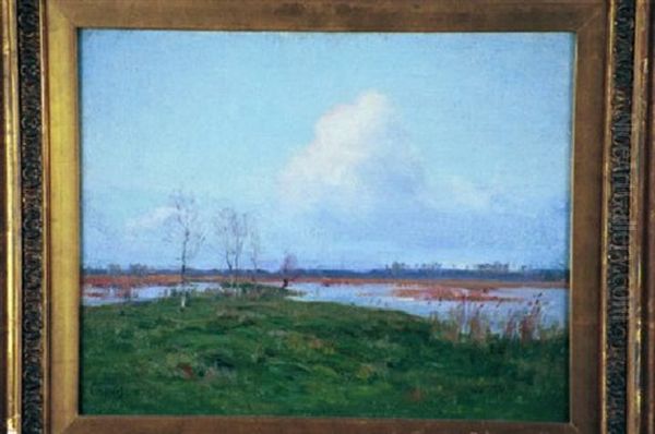 On The Marshes - view 1