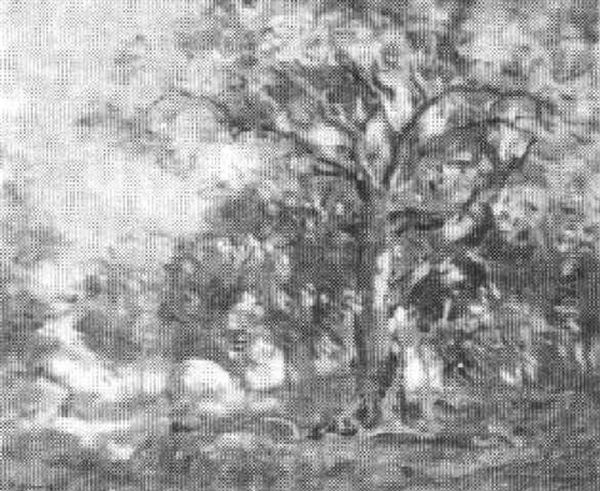 Sunlight And Shadow - view 1