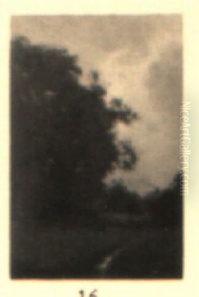 Pasture Stream - view 1
