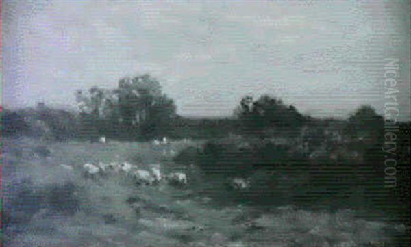 The Sheep Meadow, Late Afternoon Across The Field And Beyond The River - view 1