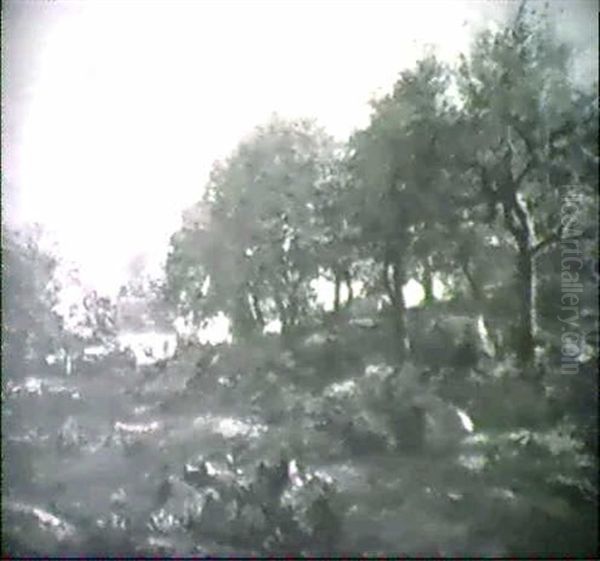 Afternoon Shadows, Mystic, Conn...... - view 1