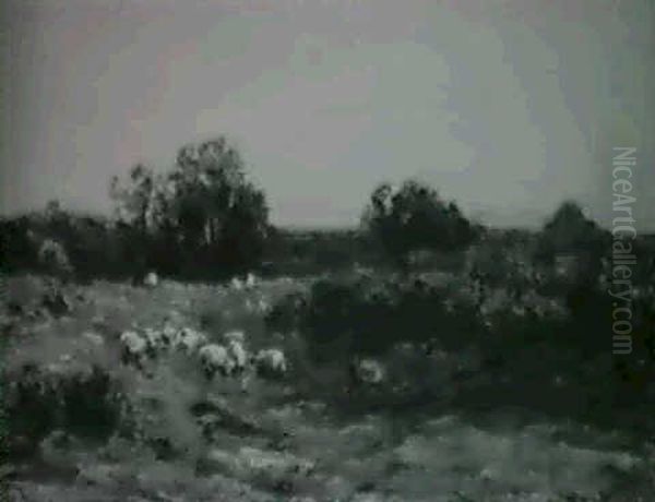 Flock Of Sheep In A Meadow - view 1
