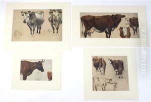 Cattle (4 Studies) Cattle (4 Studies)