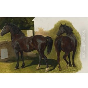 Welsh Cobb (study) Welsh Cobb (study)