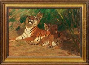 Tigermutter Mit Drei Jungen