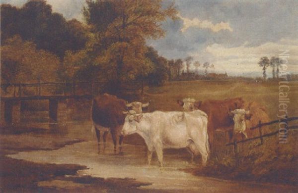 Cattle Watering - view 1