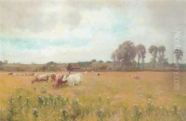 Cattle Grazing In A Meadow - view 1