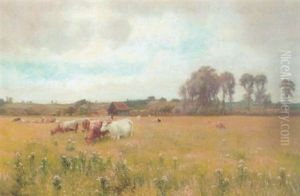 Cattle Grazing In A Meadow Cattle Grazing In A Meadow