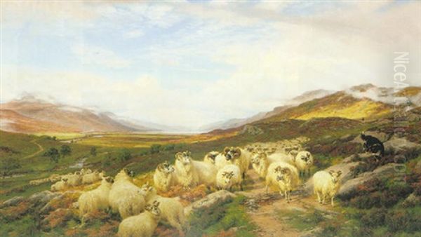 Gathering The Flock, Loch Maree - view 1