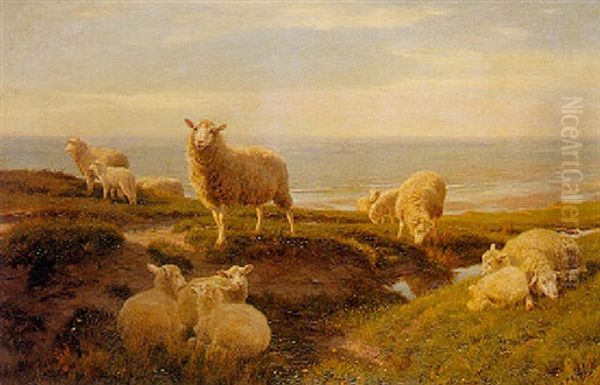 Sheep Grazing Near A Shore - view 1