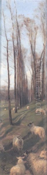 Poplar And Sheep - view 1