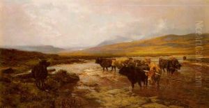 Cattle Crossing A Stream - Argylshire
