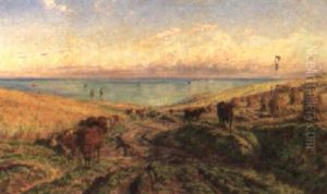 Cattle On A Coastal Path Cattle On A Coastal Path
