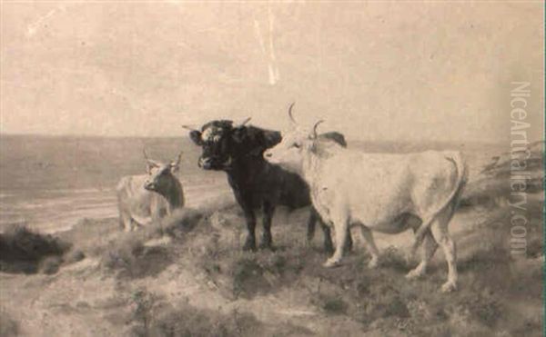 Cattle On A Cliff Top - view 1