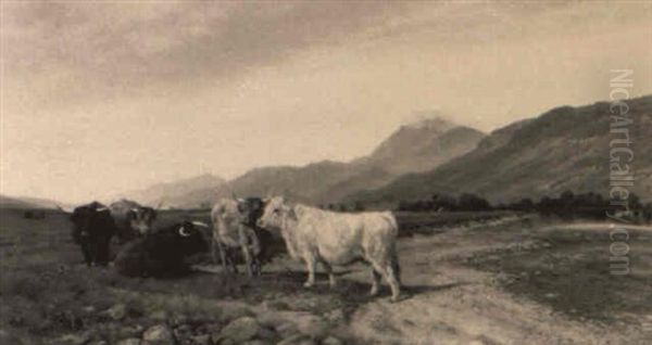 An Autumn Afternoon, Ben Slioch, N.b. - view 1