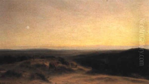 The Gleaming Landscape - view 1