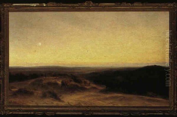 The Gleaming Landscape - view 1