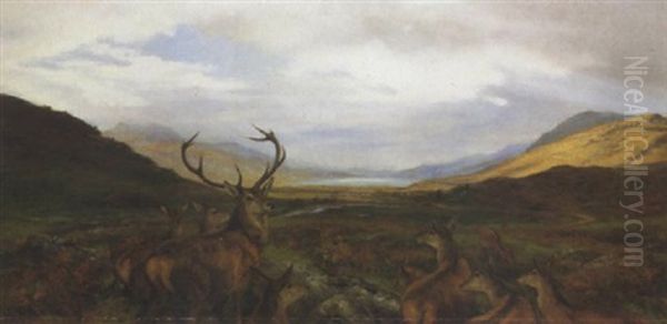 Glen Docherty - view 1