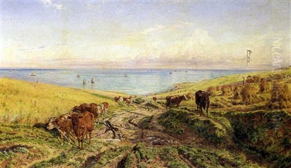 Cattle On The Hills Near A Coast - view 1
