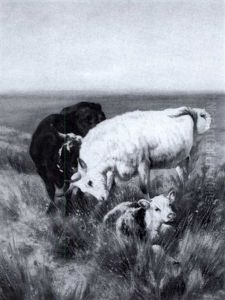 Cattle On A Cliff Top by Henry William Banks Davis, R.A.