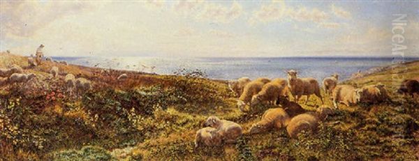 Sheep Grazing Above The Sea - view 1