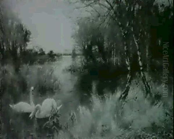 A Scene In The Norfolk Broads Or Fens; Swans On A River - view 1