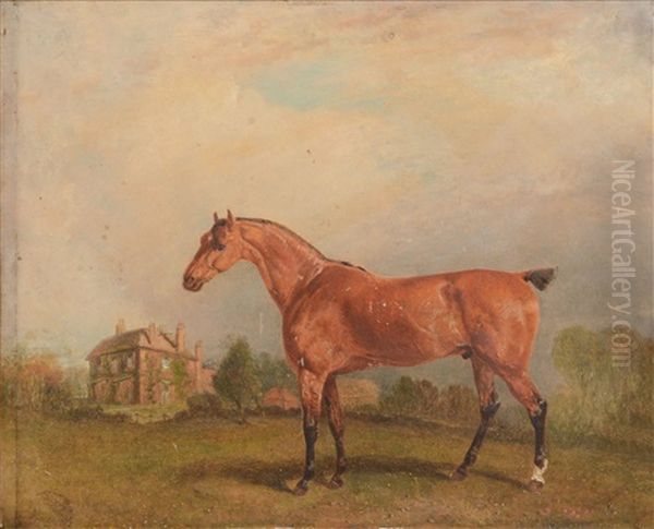 Horse In A Landscape - view 1