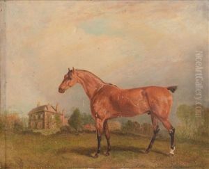 Horse In A Landscape