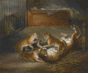 Three Liger Cubs Bred Between A Lion And A Tigress At The Royal Menagerie, Sandpit Gate, Windsor Great Park, October 1824