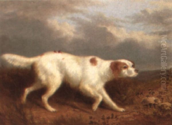 An English Setter In A Landscape - view 1