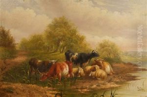 Cows Cows